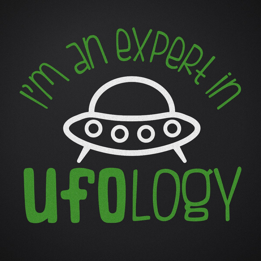 I Am an Expert in UFOology
