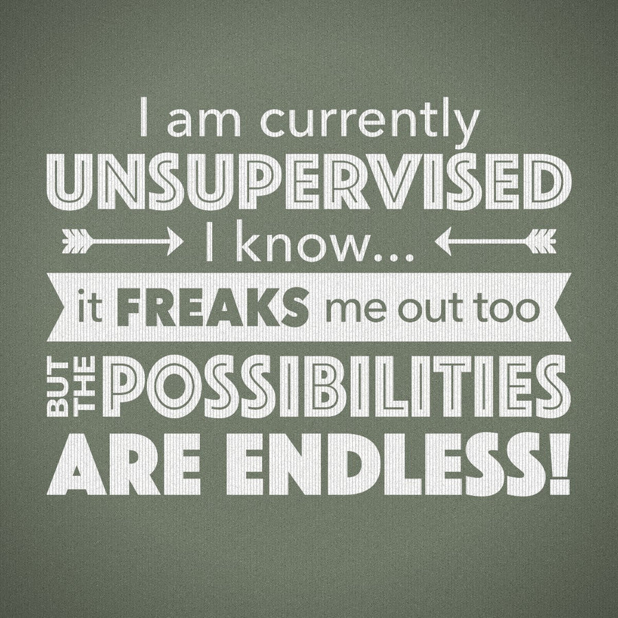I'm Currently Unsupervised