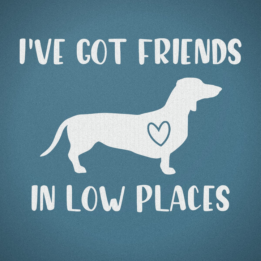 I've Got Friends in Low Places