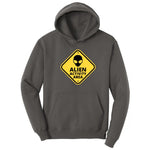 Alien Activity Area Hoodie - Charcoal