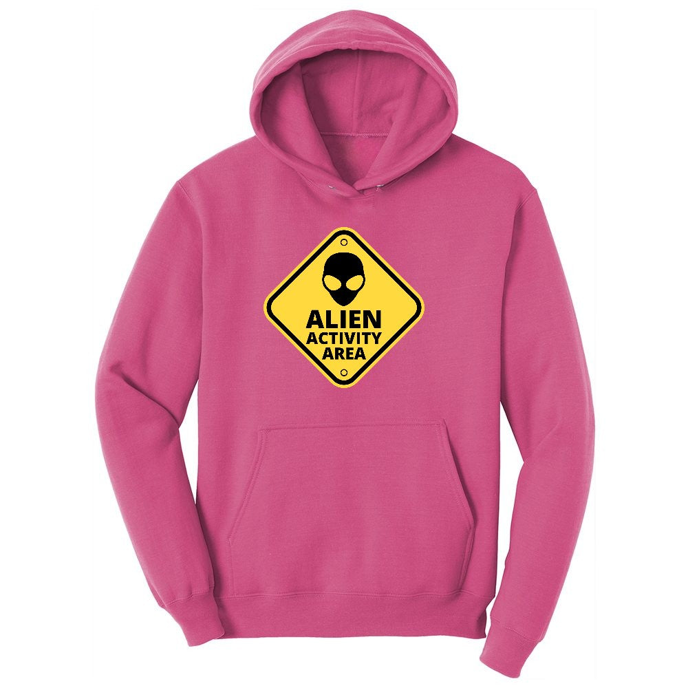 Alien Activity Area Youth Hoodie - Sangria