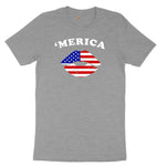 America Lips Ladies Short Sleeve Tee - Granite Heather