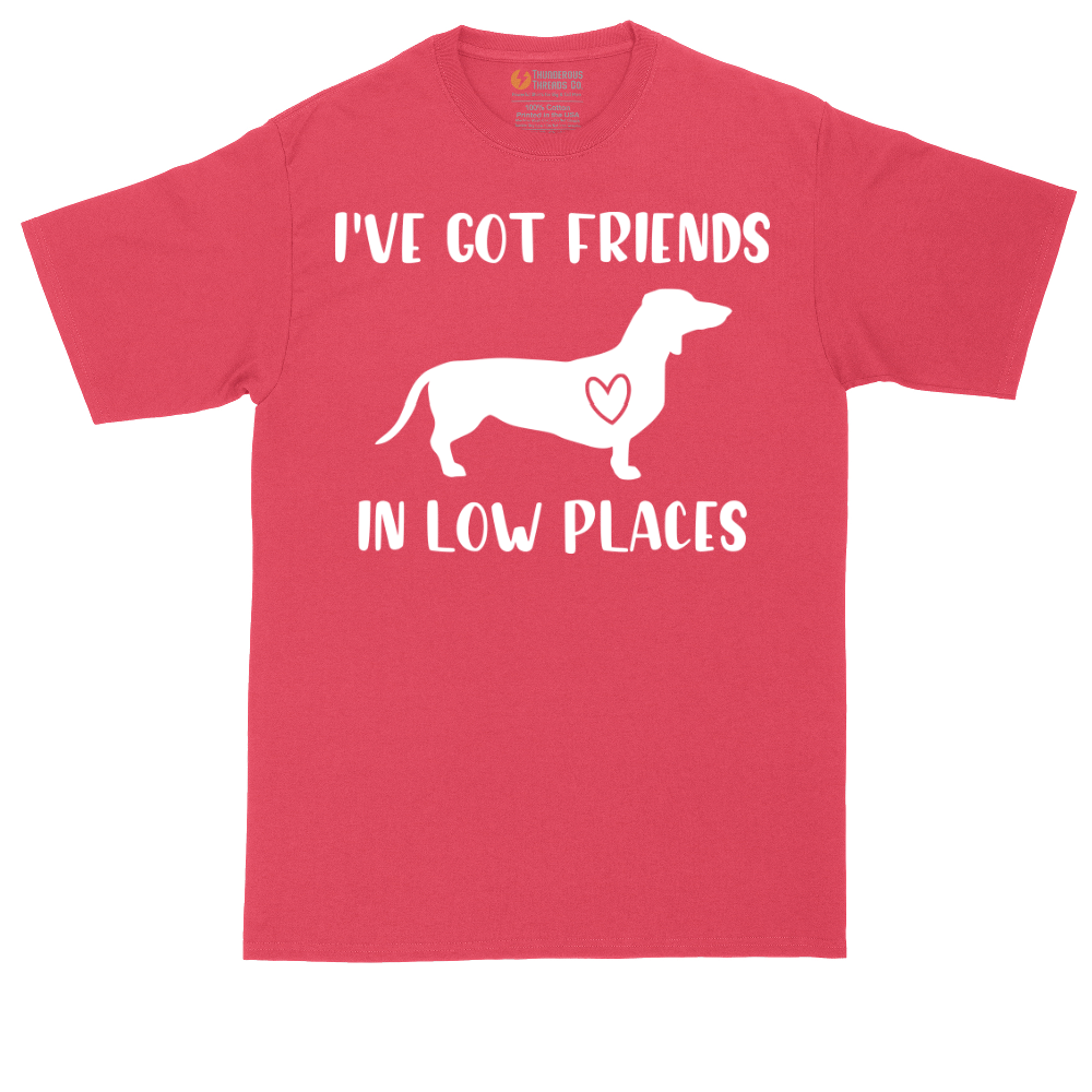I've Got Friends in Low Places | Mens Tall T-Shirt