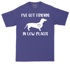 I've Got Friends in Low Places | Mens Tall T-Shirt