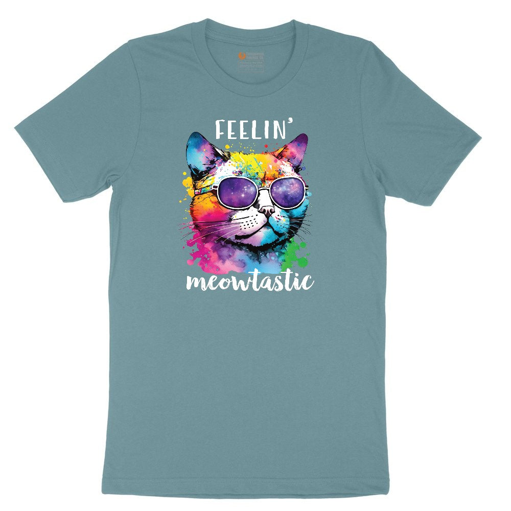 Feeling Meowtastic Cat Design Ladies Short Sleeve Tee - Surf Blackout