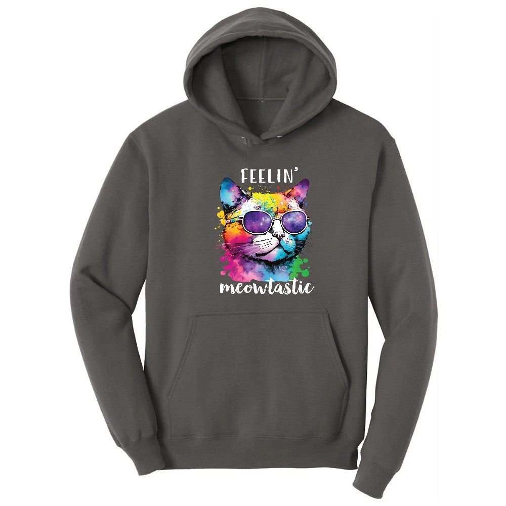 Feeling Meowtastic Cat Design Hoodie - Charcoal