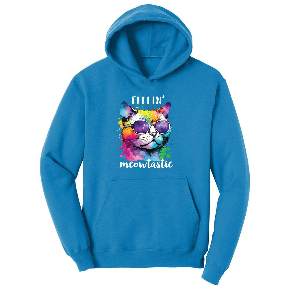 Feeling Meowtastic Cat Design Youth Hoodie - Sapphire