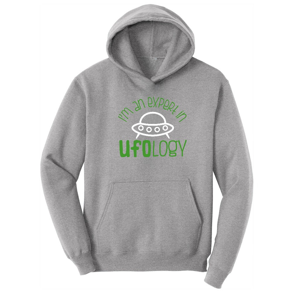 I Am an Expert in UFOology Hoodie - Athletic Heather