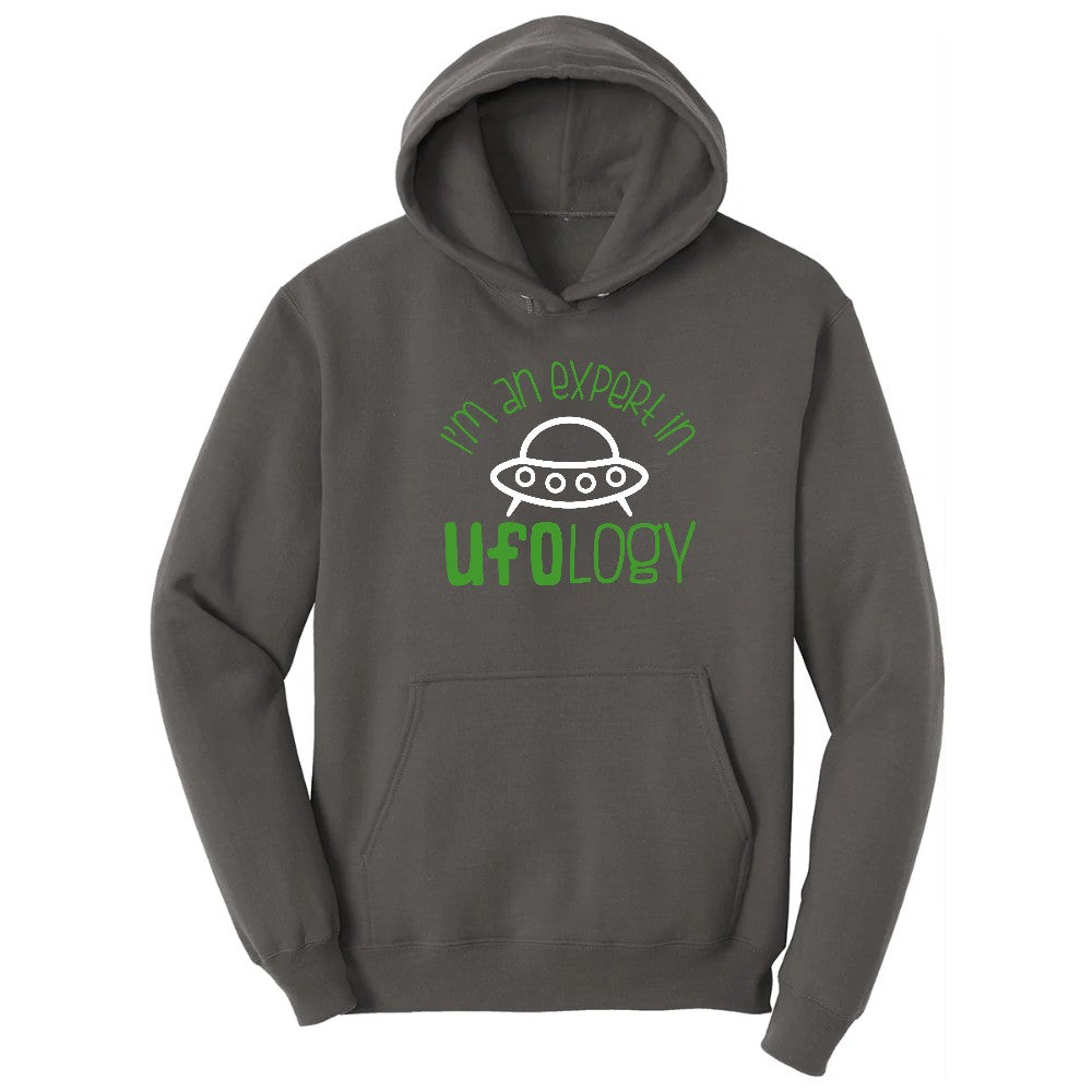 I Am an Expert in UFOology Hoodie - Charcoal