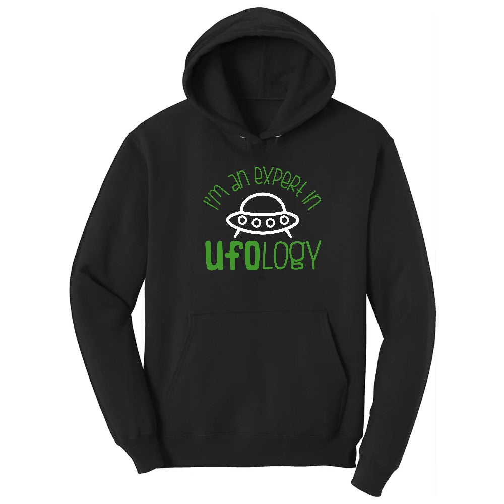 I Am an Expert in UFOology Hoodie - Jet Black