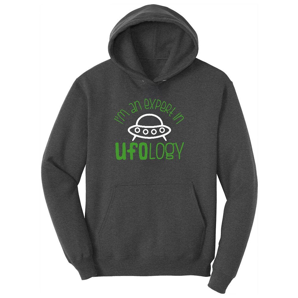 I Am an Expert in UFOology Youth Hoodie - Dark Heather Grey