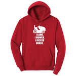 I Came I Mowed I Kicked Grass Hoodie - Red
