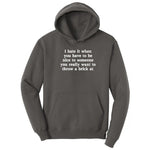I Hate It When You Have to Be Nice to Someone - Mens & Ladies T-Shirt Hoodie - Charcoal
