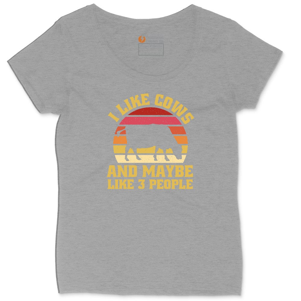 I Like Cows and Maybe Like 3 People Ladies Curvy Tee - Granite Heather