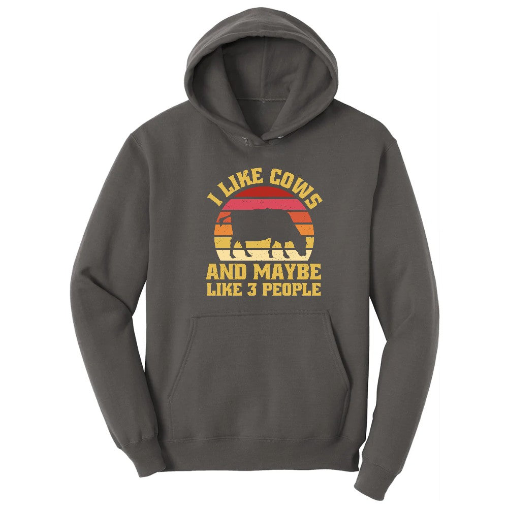 I Like Cows and Maybe Like 3 People Hoodie - Charcoal