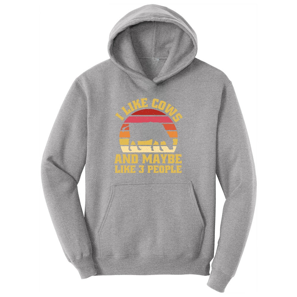 I Like Cows and Maybe Like 3 People Youth Hoodie - Athletic Heather