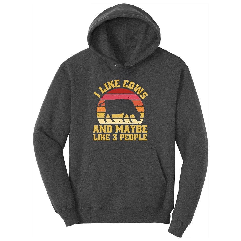 I Like Cows and Maybe Like 3 People Youth Hoodie - Dark Heather Grey