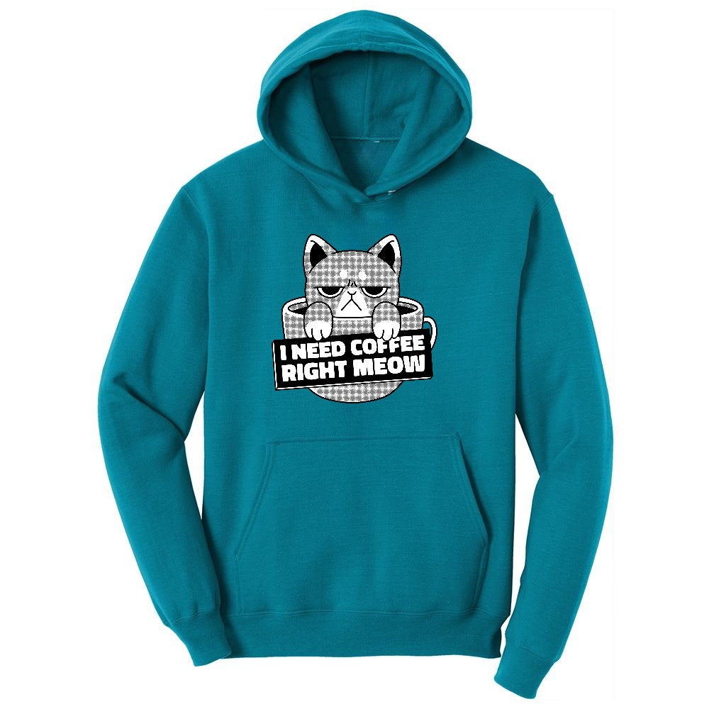 I Need Coffee Right Meow Cat Design Youth Hoodie - Teal