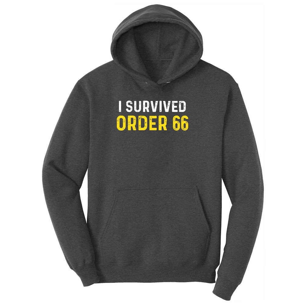 I Survived Order 66 Youth Hoodie - Dark Heather Grey