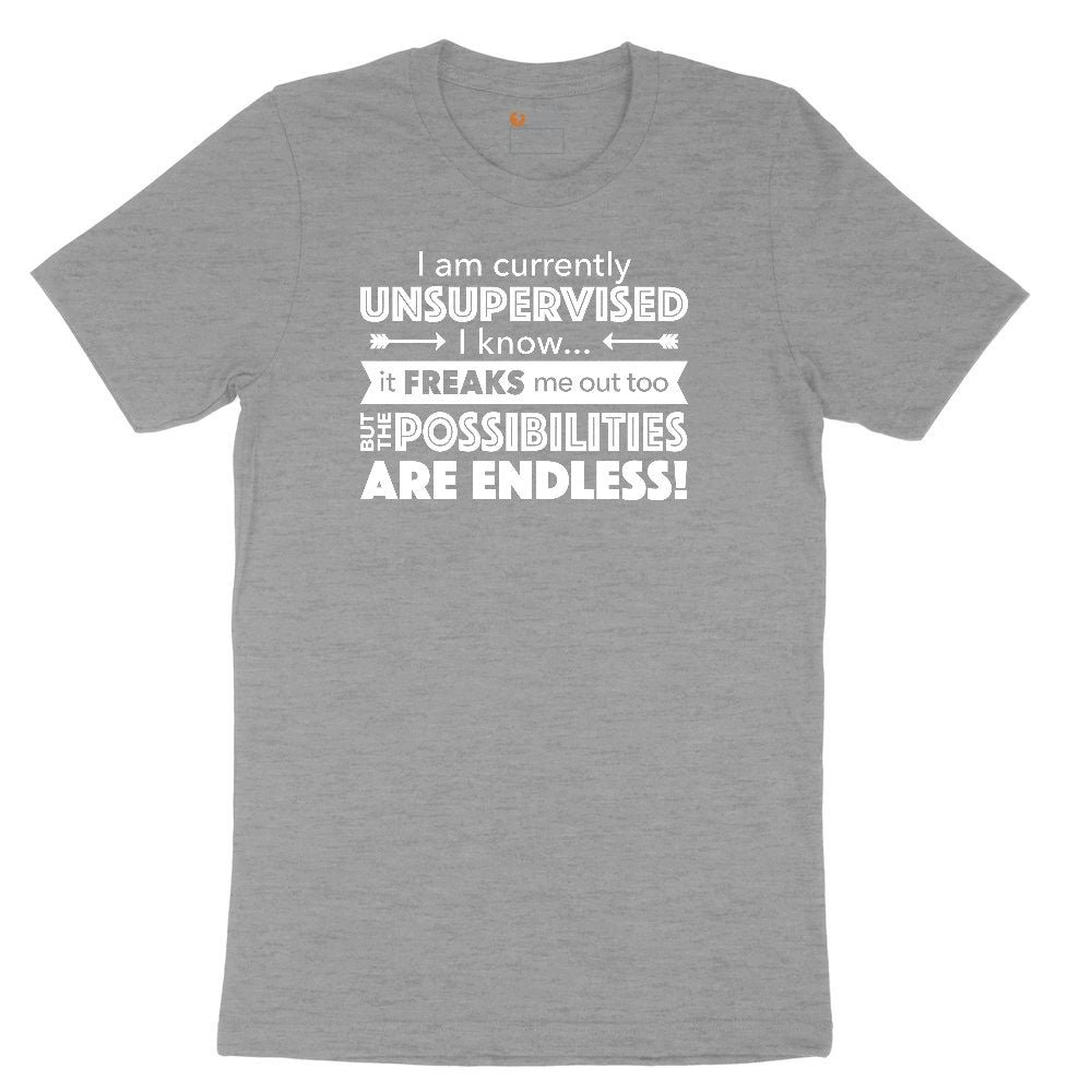 I'm Currently Unsupervised Ladies Short Sleeve Tee - Granite Heather
