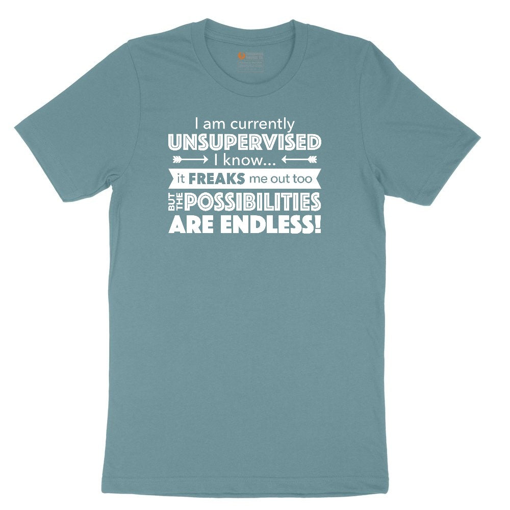 I'm Currently Unsupervised Ladies Short Sleeve Tee - Surf Blackout