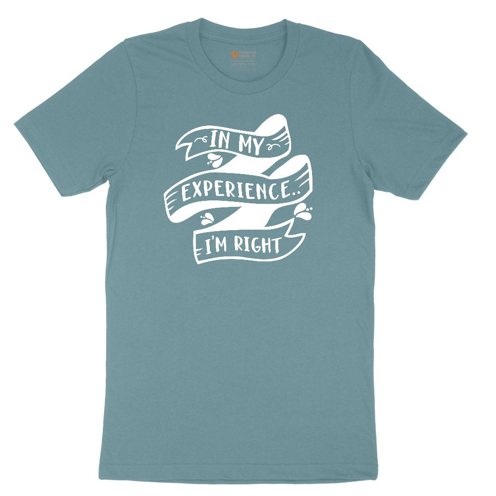 In My Experience I'm Right Ladies Short Sleeve Tee - Surf Blackout