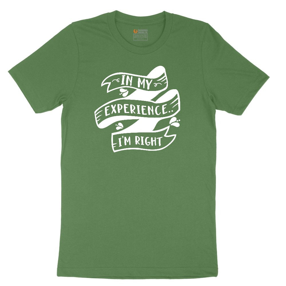 In My Experience I'm Right Toddler Short Sleeve Tee - Athletic Kelly