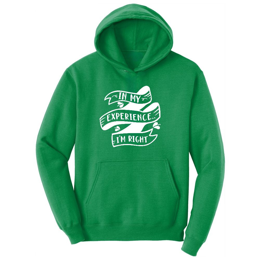 In My Experience I'm Right Youth Hoodie - Kelly Green