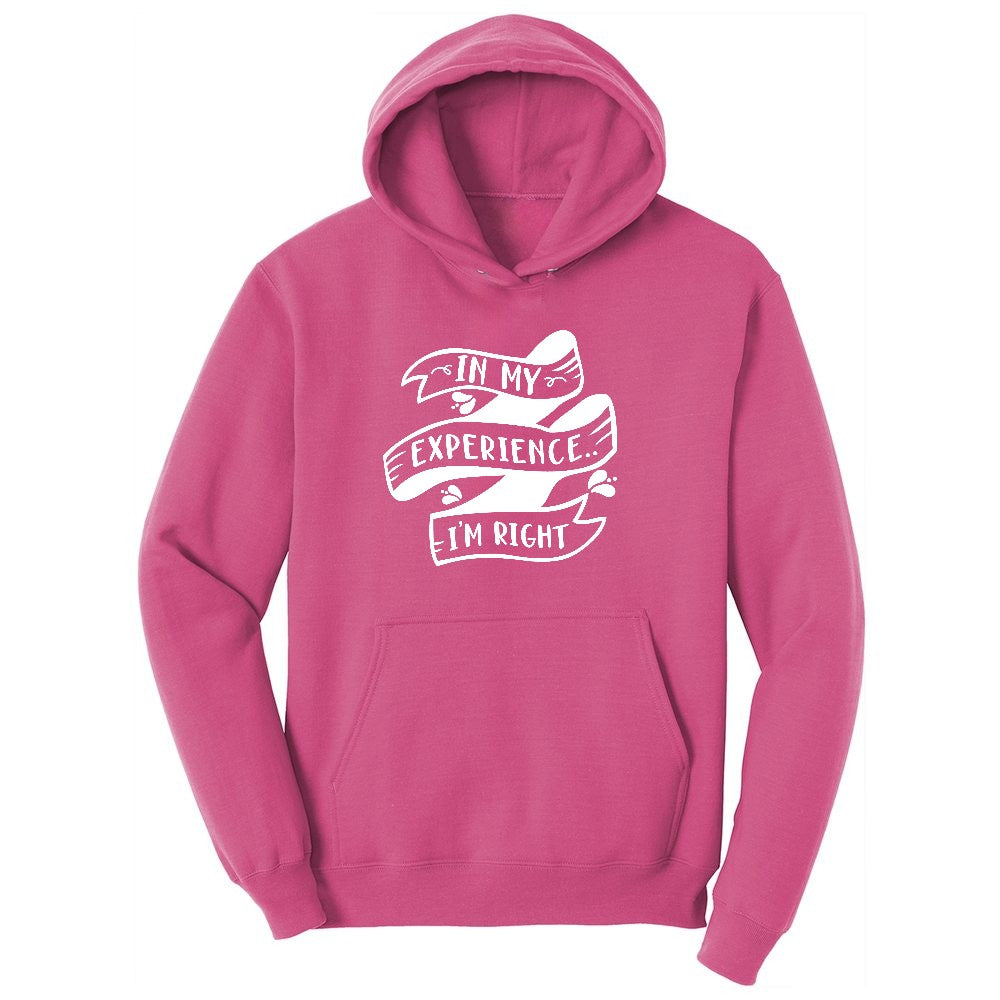 In My Experience I'm Right Youth Hoodie - Sangria