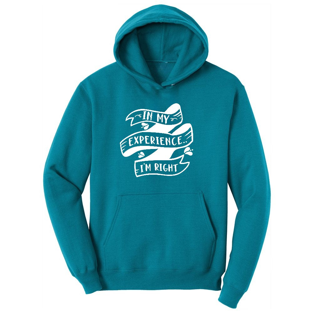 In My Experience I'm Right Youth Hoodie - Teal