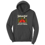 Introverted but Willing to Discuss Camping Youth Hoodie - Dark Heather Grey