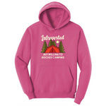 Introverted but Willing to Discuss Camping Youth Hoodie - Sangria
