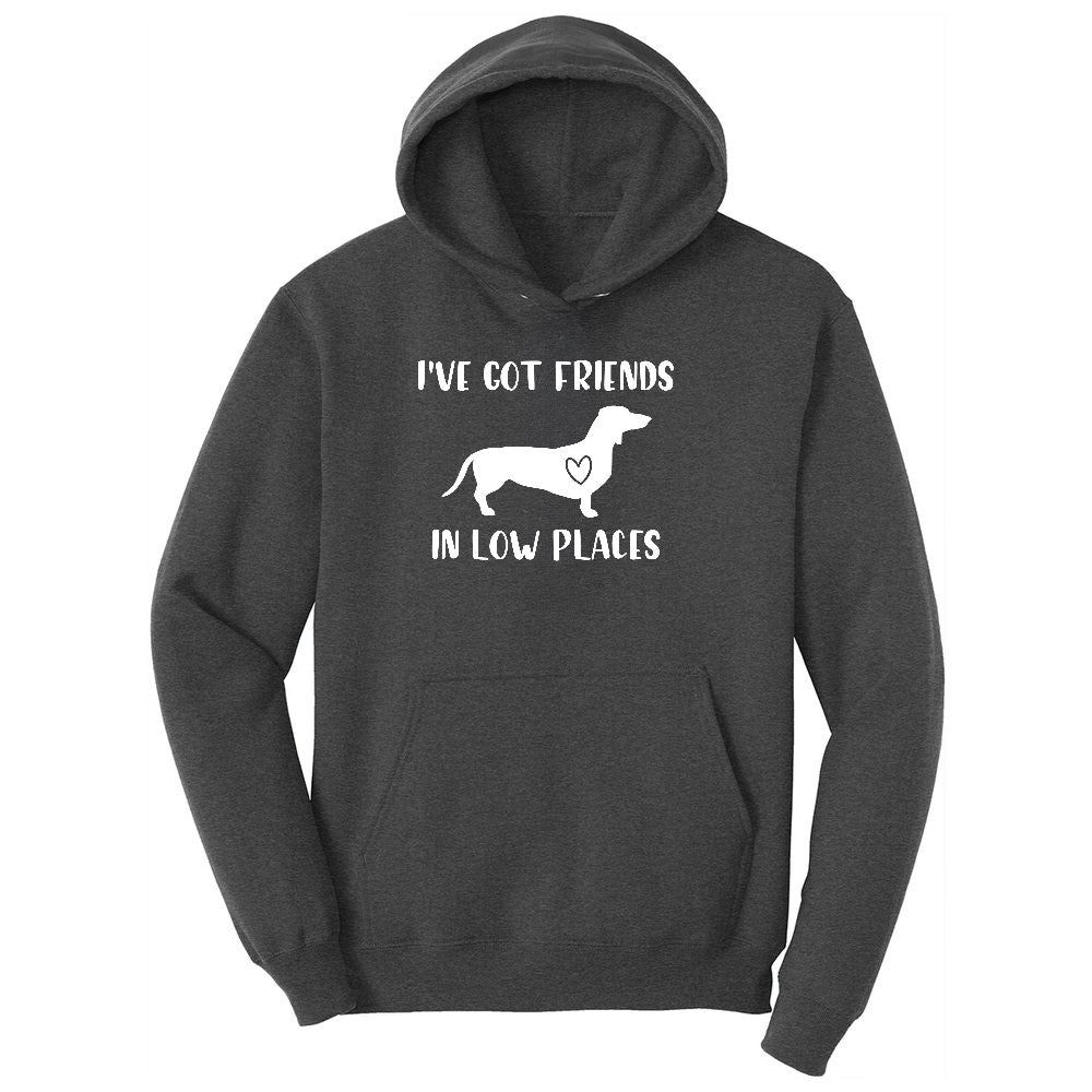 I've Got Friends in Low Places Ladies Hoodie - Dark Heather Grey