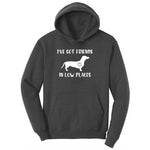 I've Got Friends in Low Places Ladies Hoodie - Dark Heather Grey