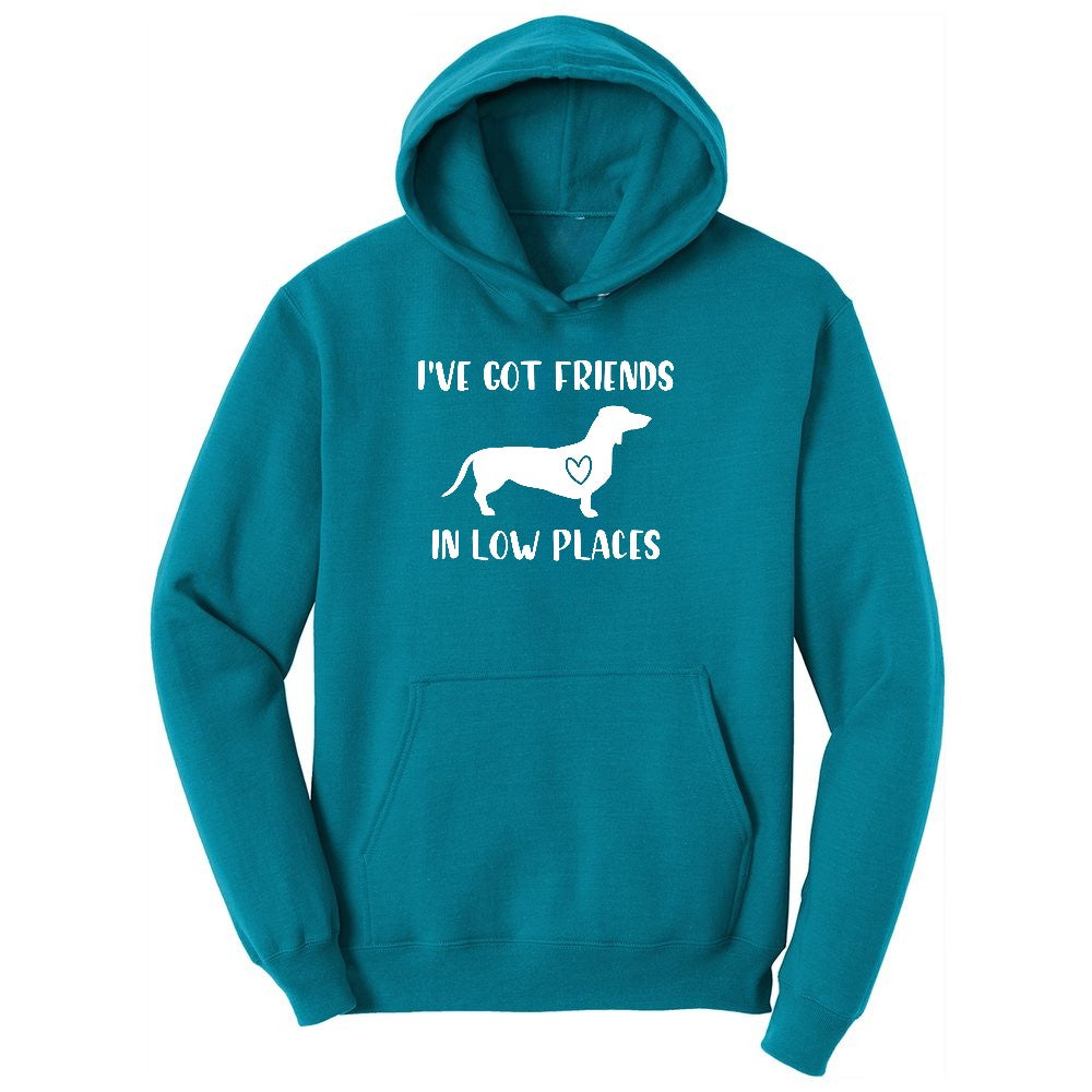 I've Got Friends in Low Places Ladies Hoodie - Teal