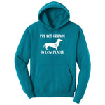 I've Got Friends in Low Places Ladies Hoodie - Teal