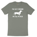 I've Got Friends in Low Places Ladies Short Sleeve Tee - Bamboo Blackout