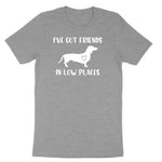 I've Got Friends in Low Places Ladies Short Sleeve Tee - Granite Heather