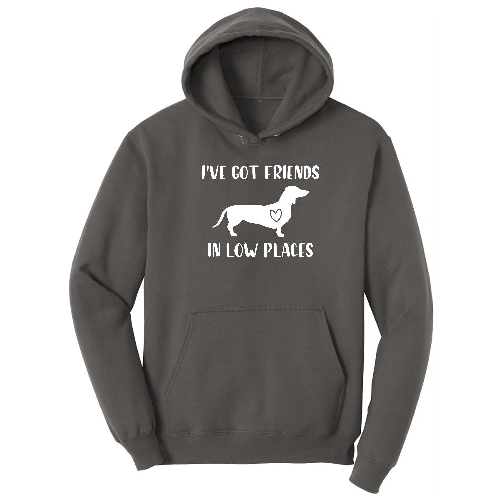 I've Got Friends in Low Places Hoodie - Charcoal