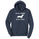 I've Got Friends in Low Places Hoodie - Navy