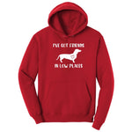 I've Got Friends in Low Places Hoodie - Red