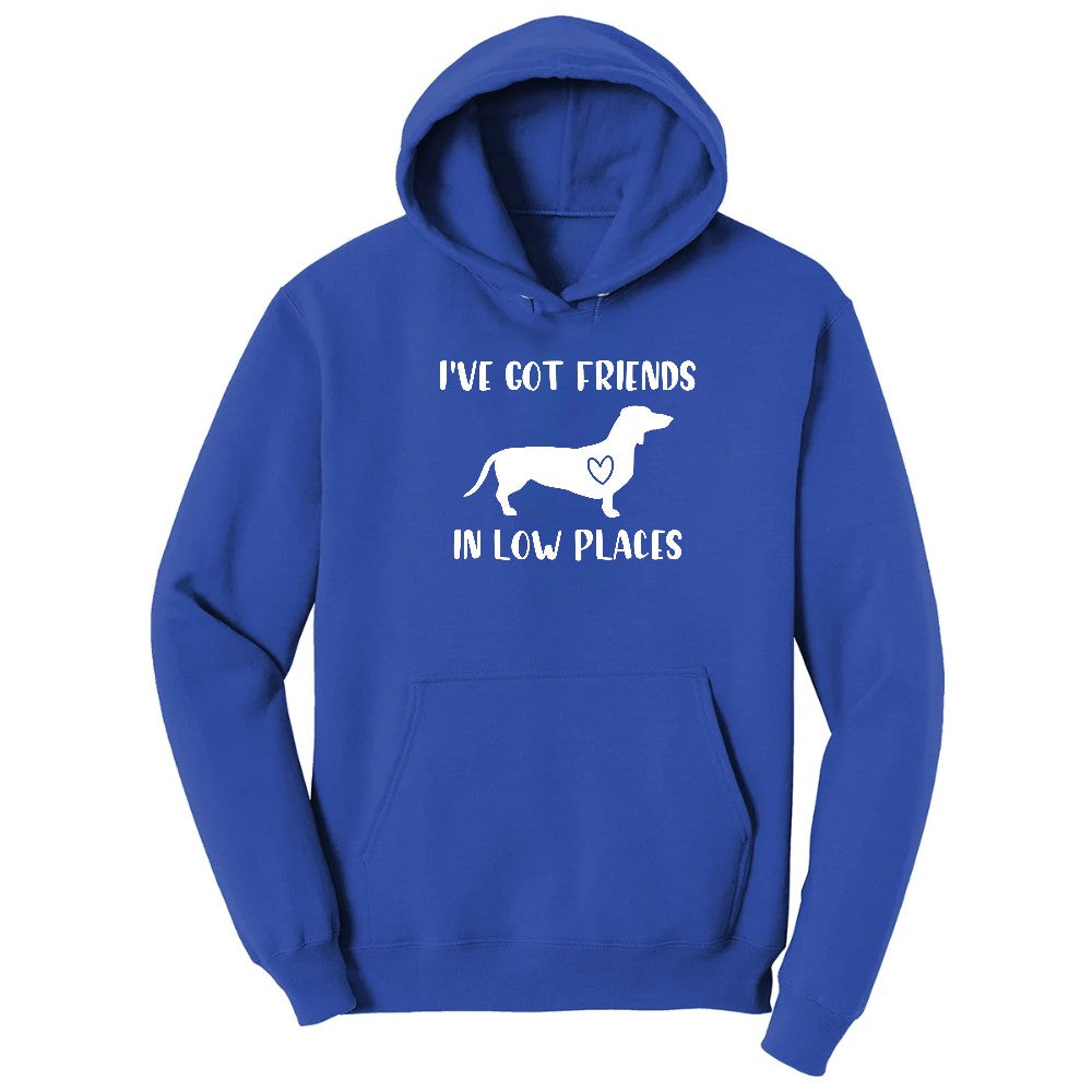 I've Got Friends in Low Places Hoodie - True Royal