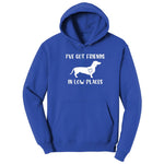 I've Got Friends in Low Places Hoodie - True Royal