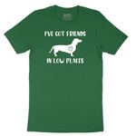 I've Got Friends in Low Places Short Sleeve Tee - Athletic Kelly