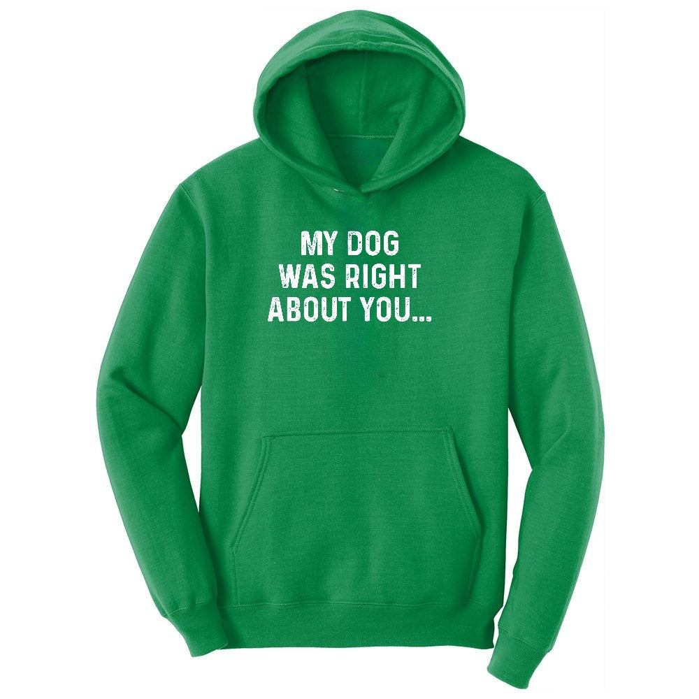 My Dog was Right About You Youth Hoodie - Kelly Green