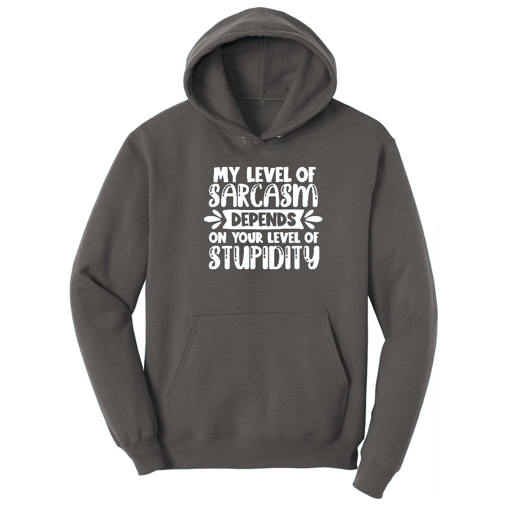 My Level of Sarcasm Depends on Your Level of Stupidity - Mens & Ladies T-Shirt Hoodie - Charcoal