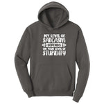 My Level of Sarcasm Depends on Your Level of Stupidity - Mens & Ladies T-Shirt Hoodie - Charcoal