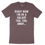 Right Now I'm in a Galaxy Far Far Away Ladies Short Sleeve Tee - Sangria Blackout