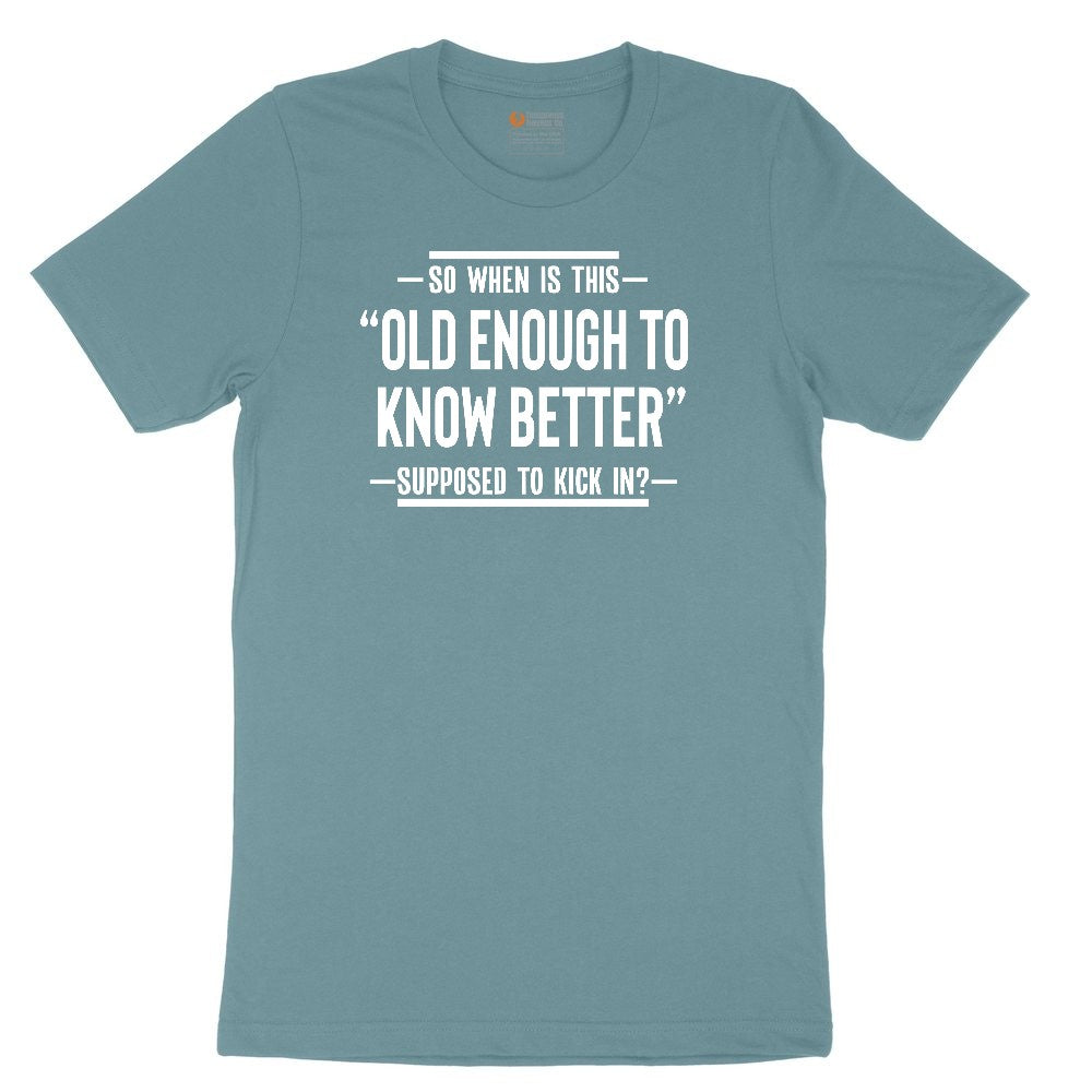 So When is This Old Enough To Know Better Supposed to Kick In Ladies Short Sleeve Tee - Surf Blackout