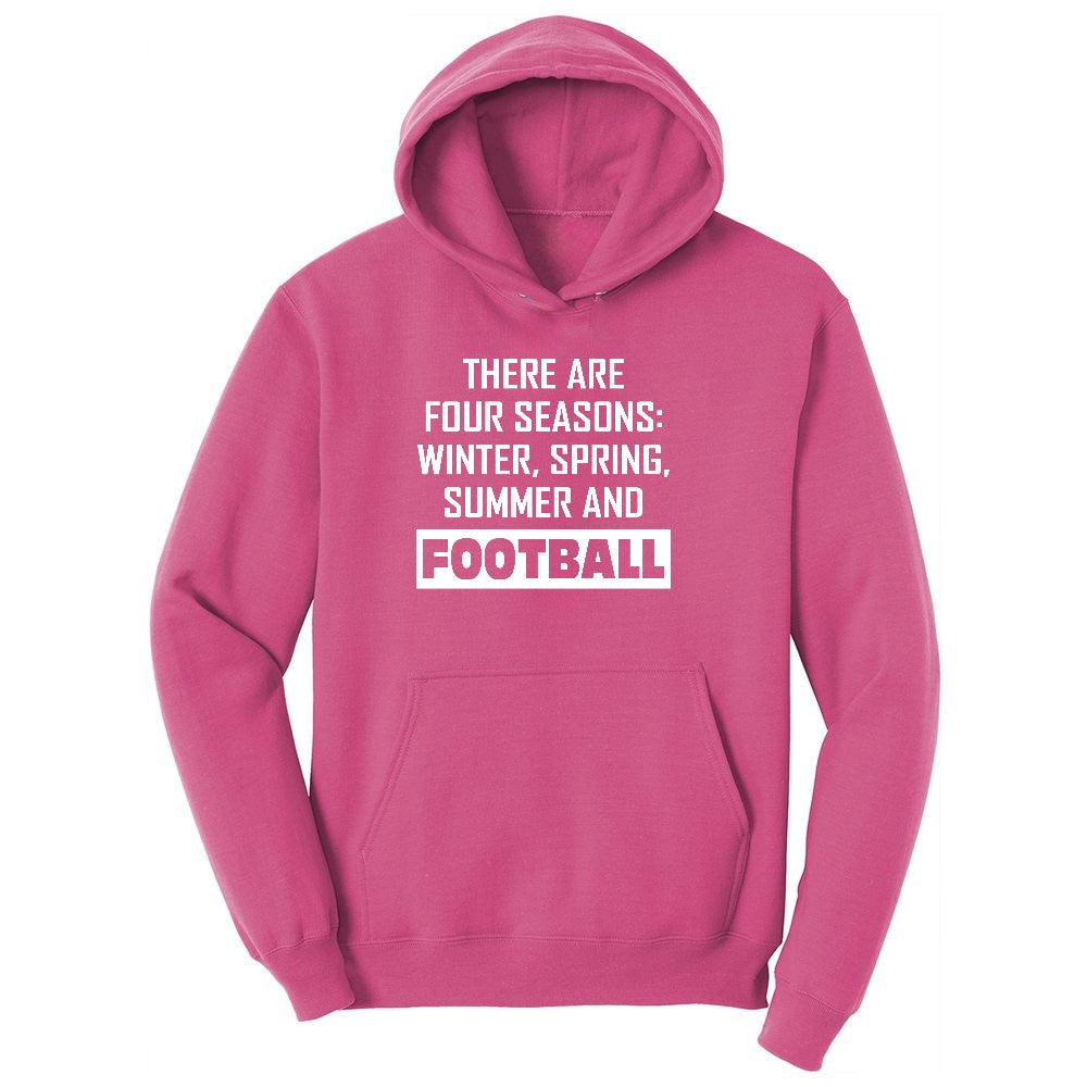 There's Four Seasons Youth Hoodie - Sangria